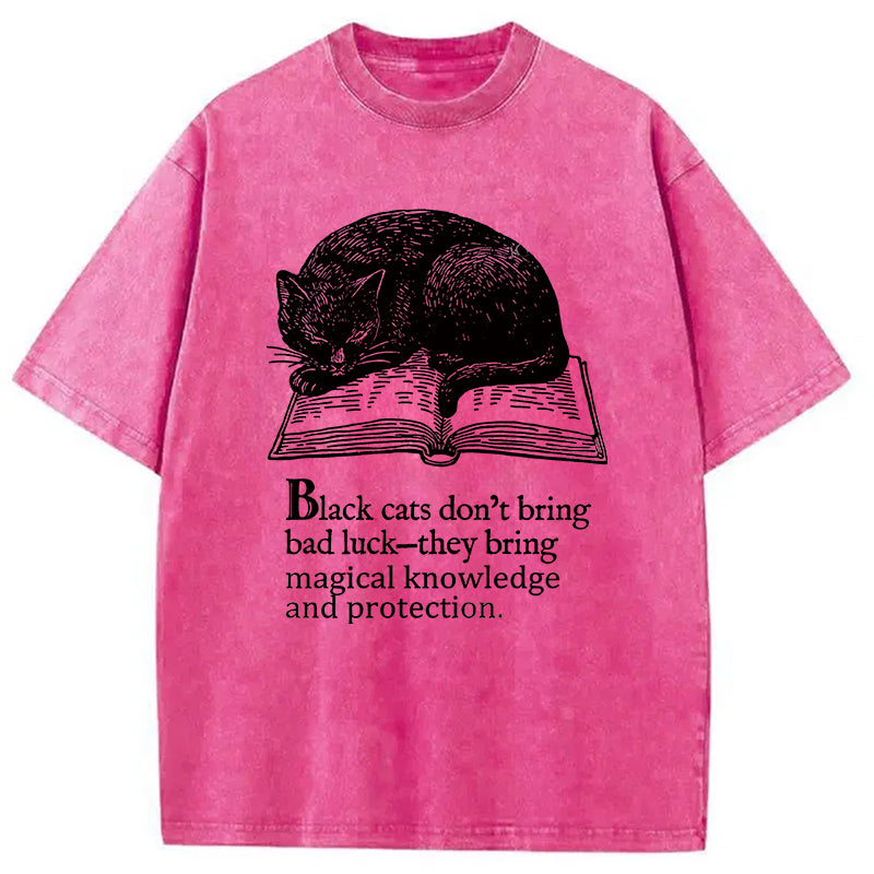 Black Cat Sleeping On A Book Washed T-Shirt