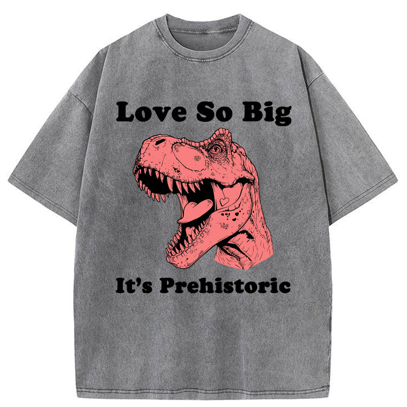 Unisex Prehistoric Love Washed T-Shirt