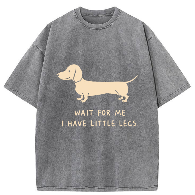 Unisex Wait For The Dachshund Washed T-Shirt