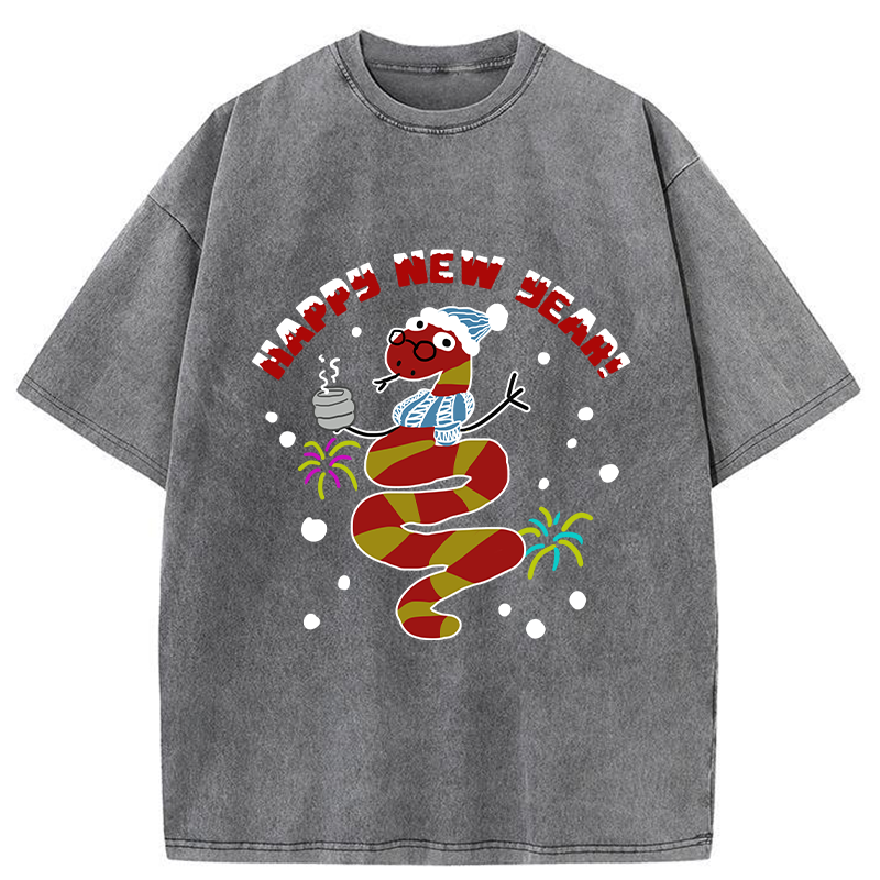 Snake Wearing Scarf And Hat Washed T-Shirt