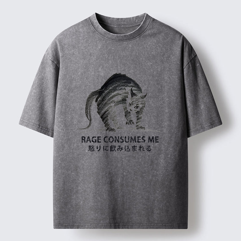Unisex Rage Consumes Cat Washed T-Shirt