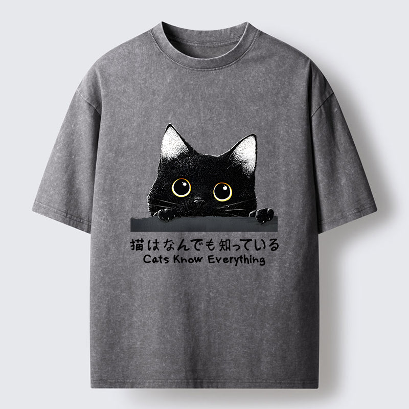 Cats Know Everything Washed T-Shirt
