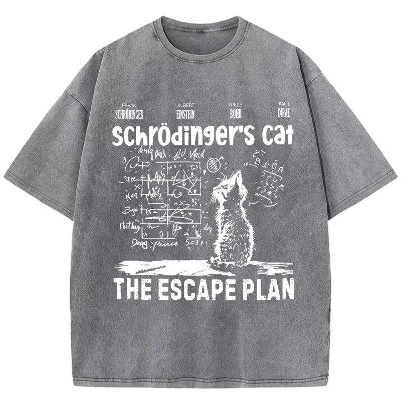 Schrodinger's Cat Washed T-Shirt