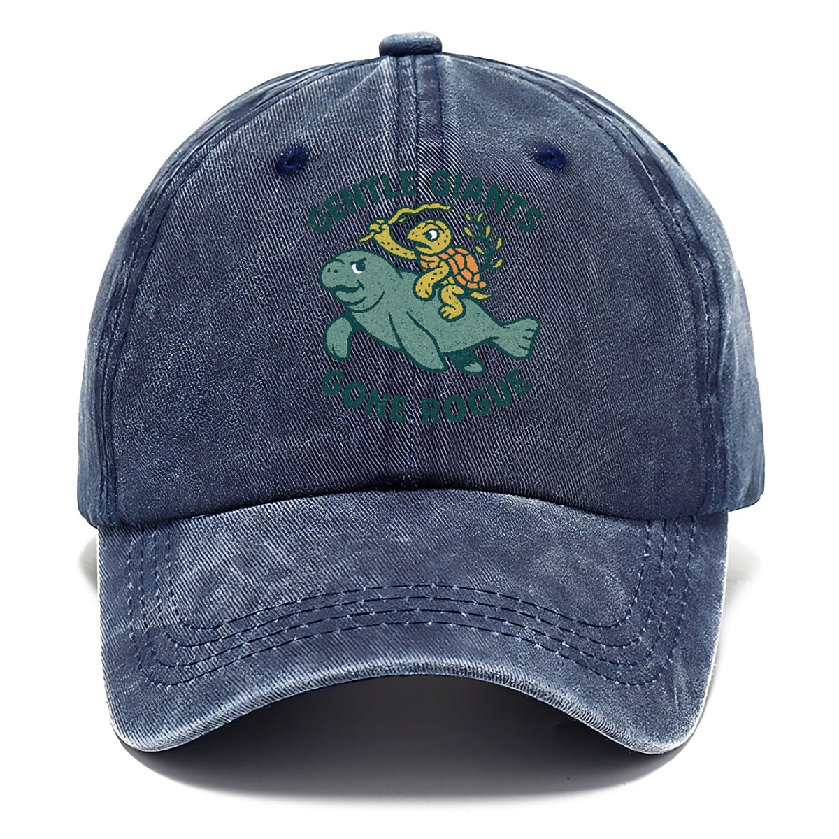 Rogue Cartoon Washed Cap
