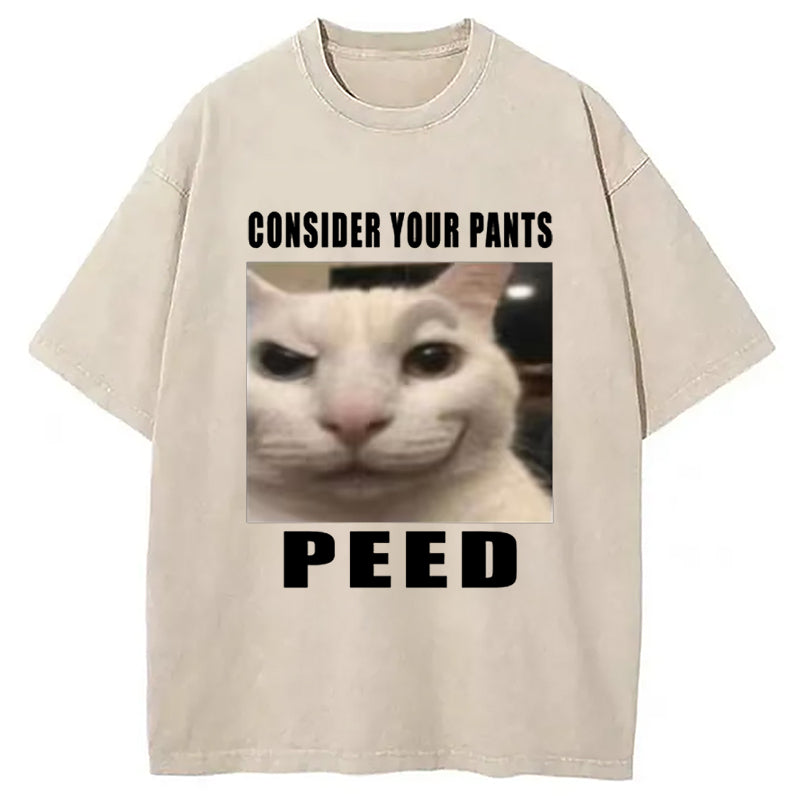 Consider Your Pants Peed Meme Washed T-Shirt