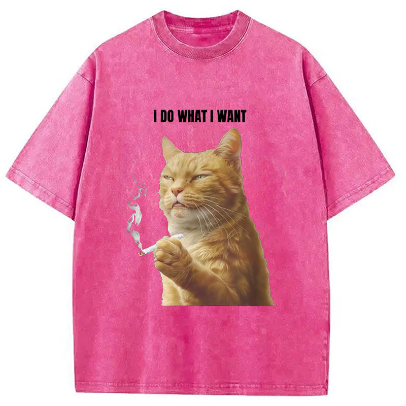 I Do What I Want Washed T-Shirt