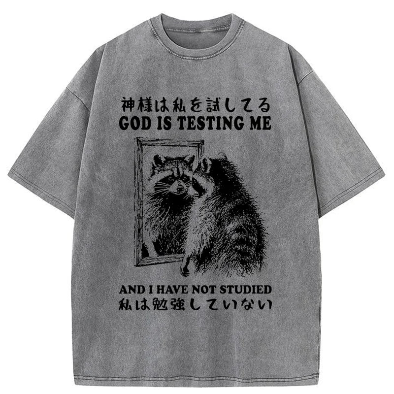 Raccoon Not Studied Washed T-Shirt
