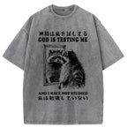 Raccoon Not Studied Washed T-Shirt