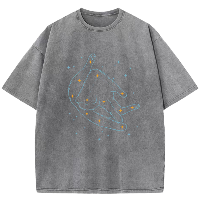 Catstellation Washed T-Shirt