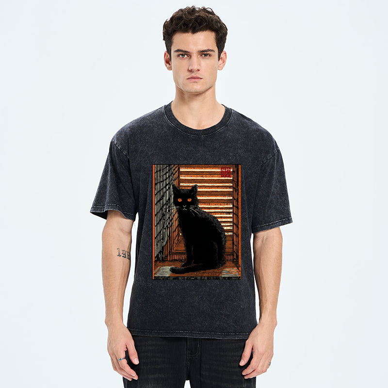 Unisex Guardian of the Steps Washed T-Shirt