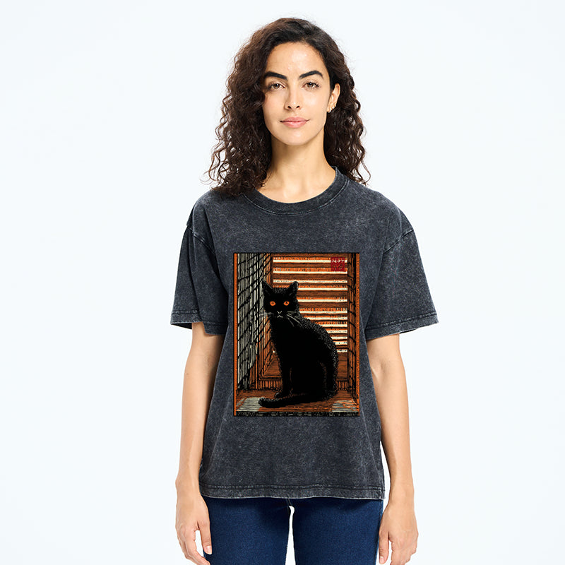 Unisex Guardian of the Steps Washed T-Shirt