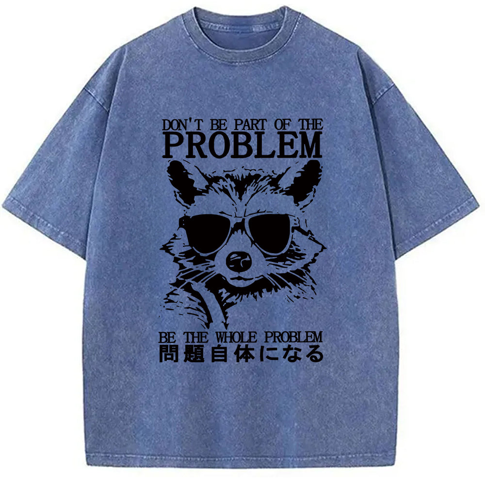 Be The Whole Problem Raccoon Washed T-Shirt
