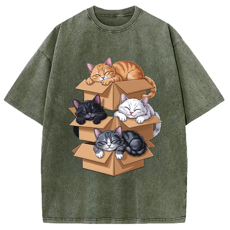 Kawaii Cardboard Cat Washed T-Shirt