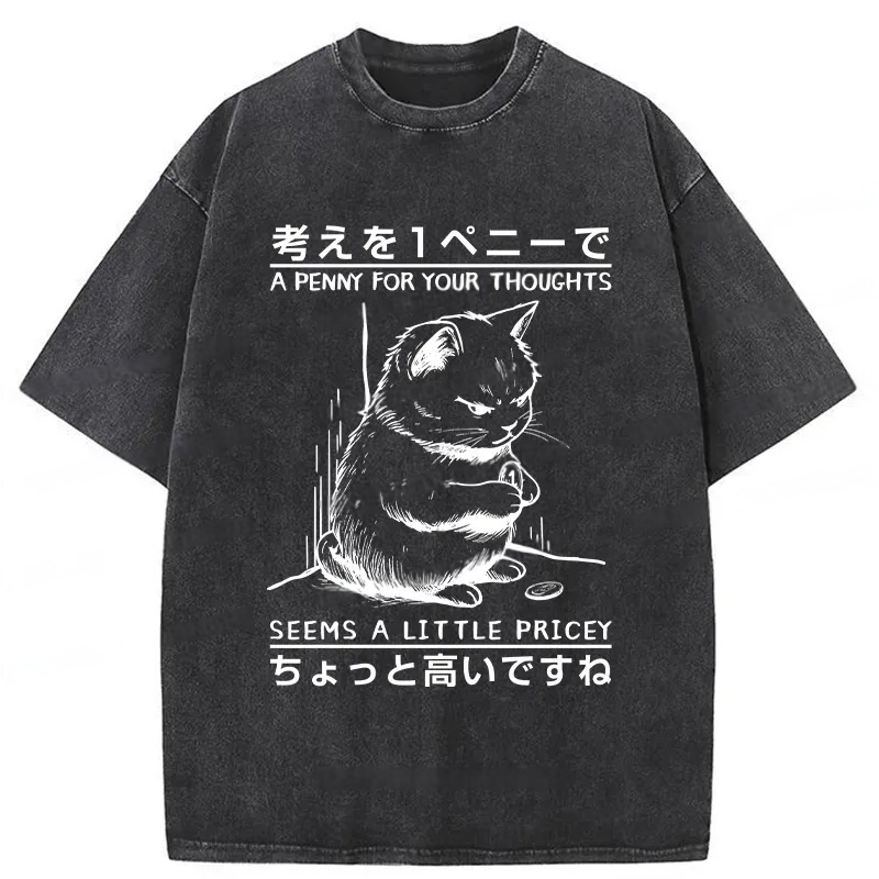 A Penny For Your Thoughts Washed T-Shirt