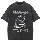 A Penny For Your Thoughts Washed T-Shirt
