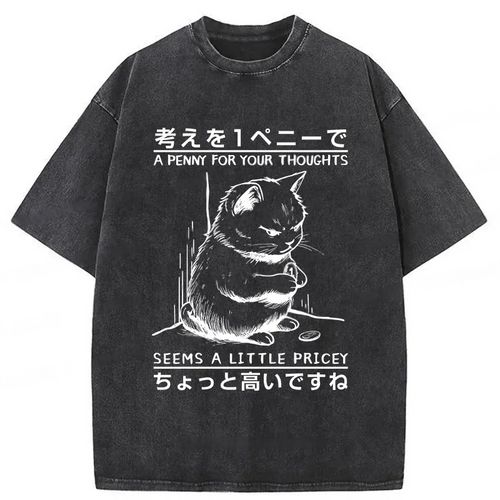 A Penny For Your Thoughts Washed T-Shirt