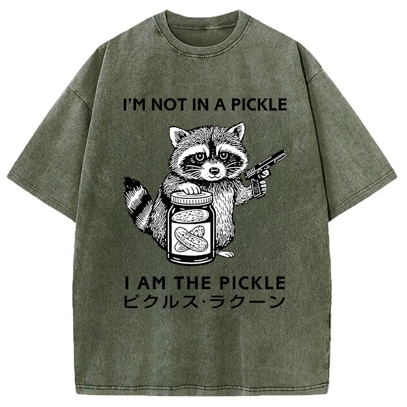 Funny Raccoon Japan Washed T-Shirt