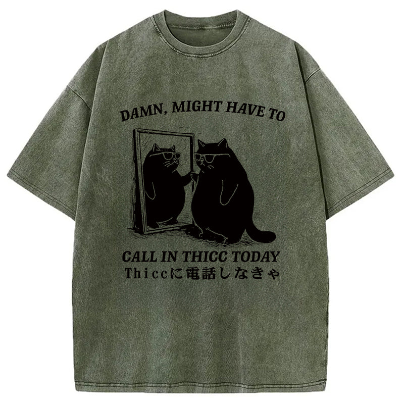 Cat Admiring Himself Washed T-Shirt