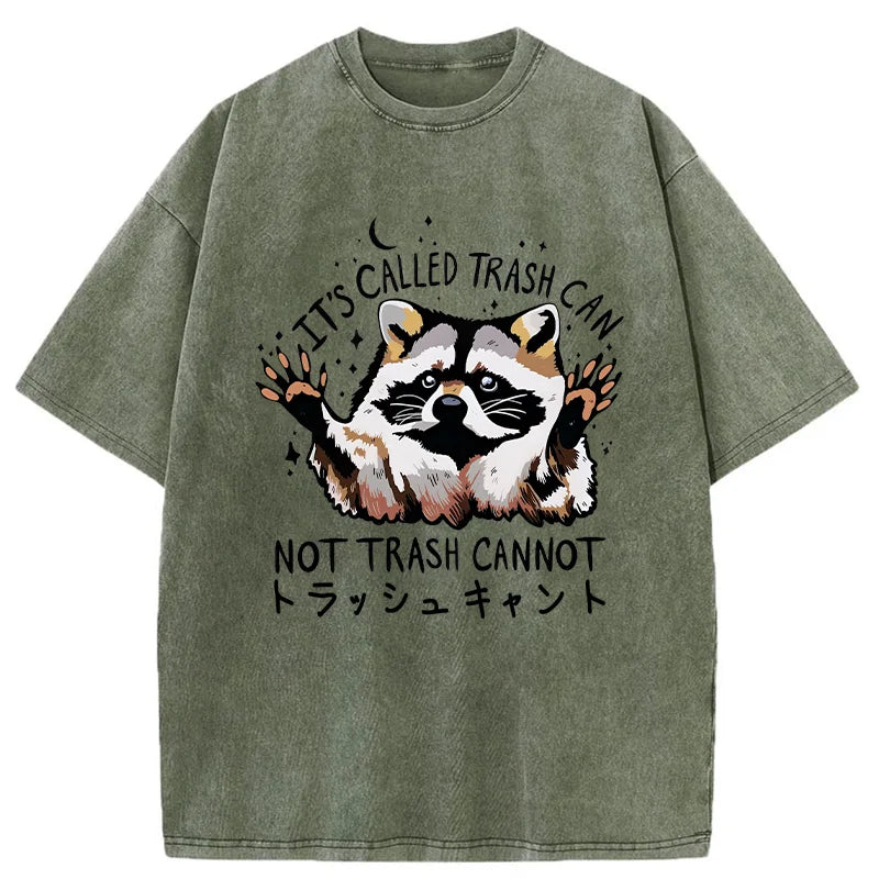 Adorable Raccoon Washed T-Shirt