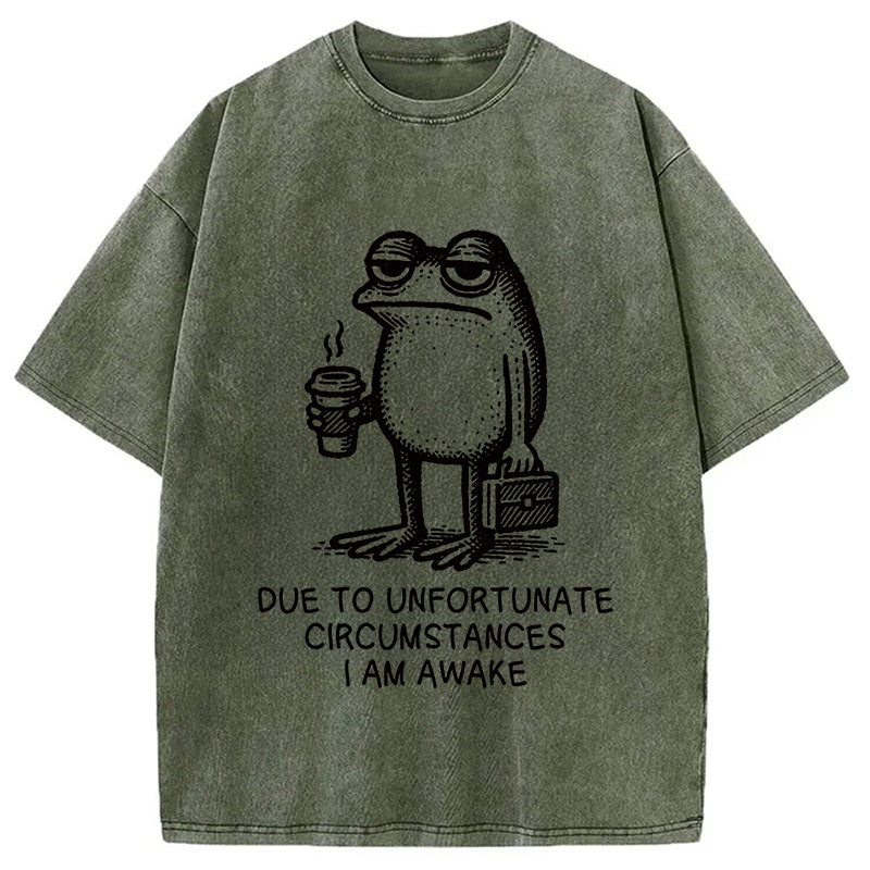 Decadent Frog Washed T-Shirt