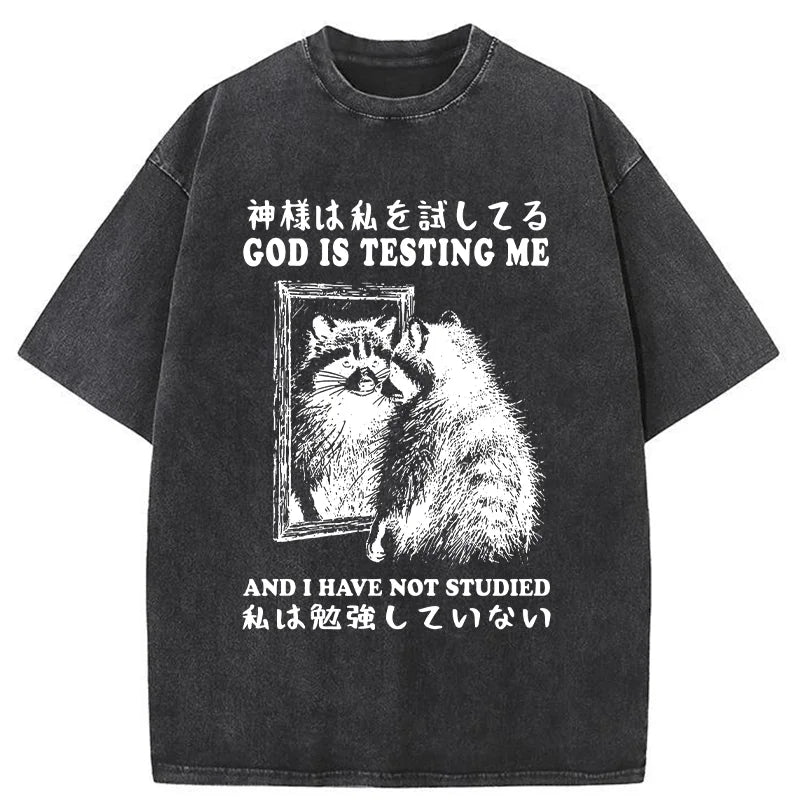 Raccoon Not Studied Washed T-Shirt