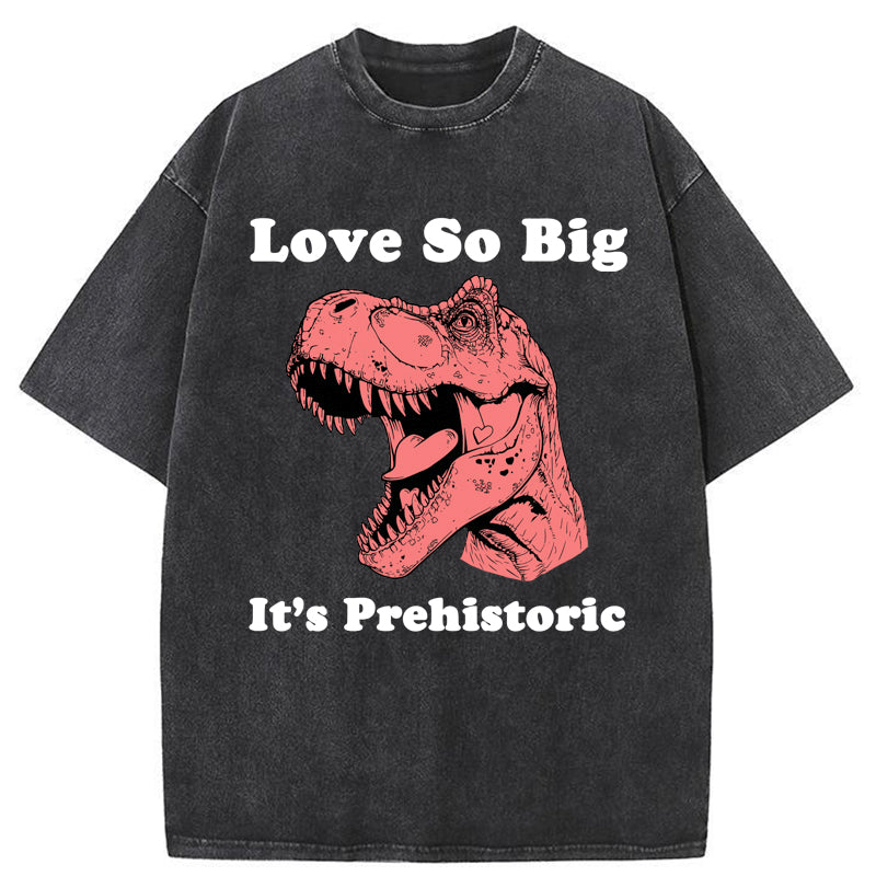 Unisex Prehistoric Love Washed T-Shirt