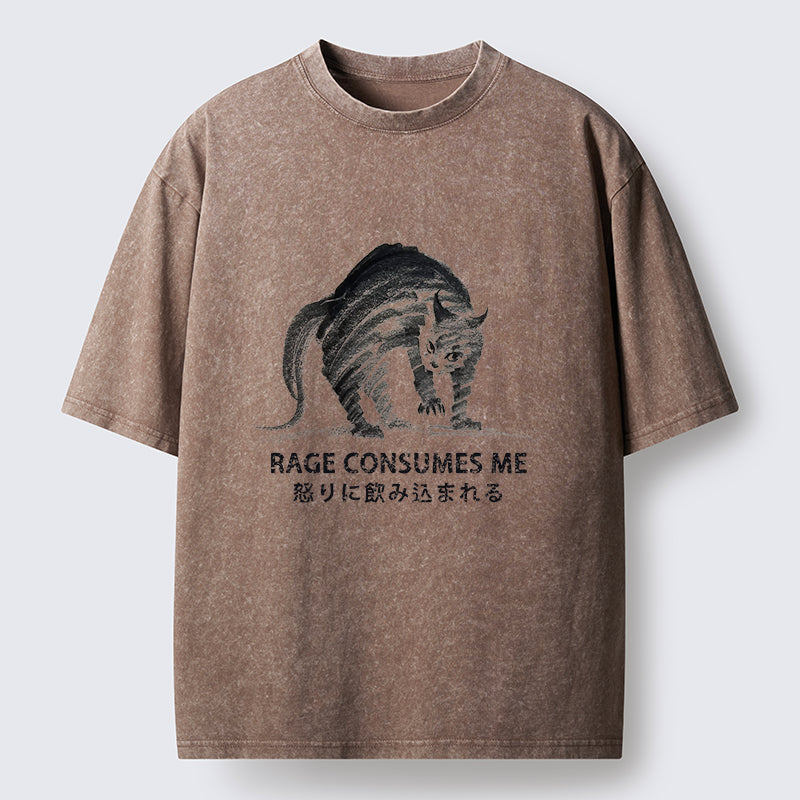 Unisex Rage Consumes Cat Washed T-Shirt