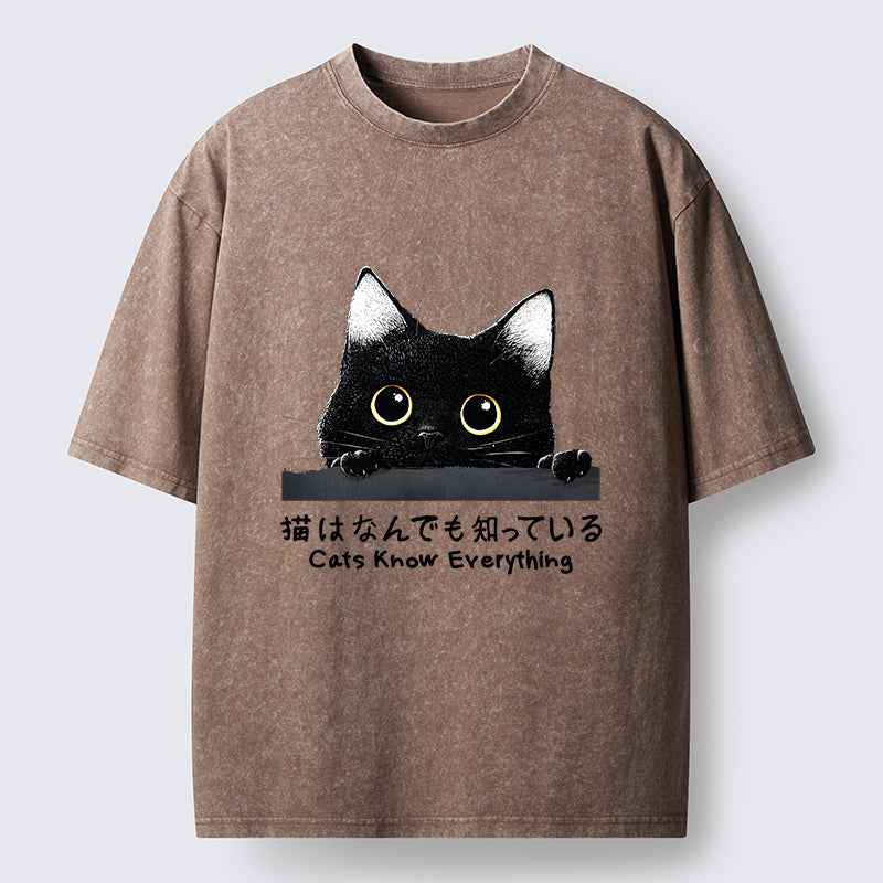 Cats Know Everything Washed T-Shirt