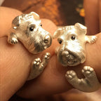 Schnauzer dog ring
