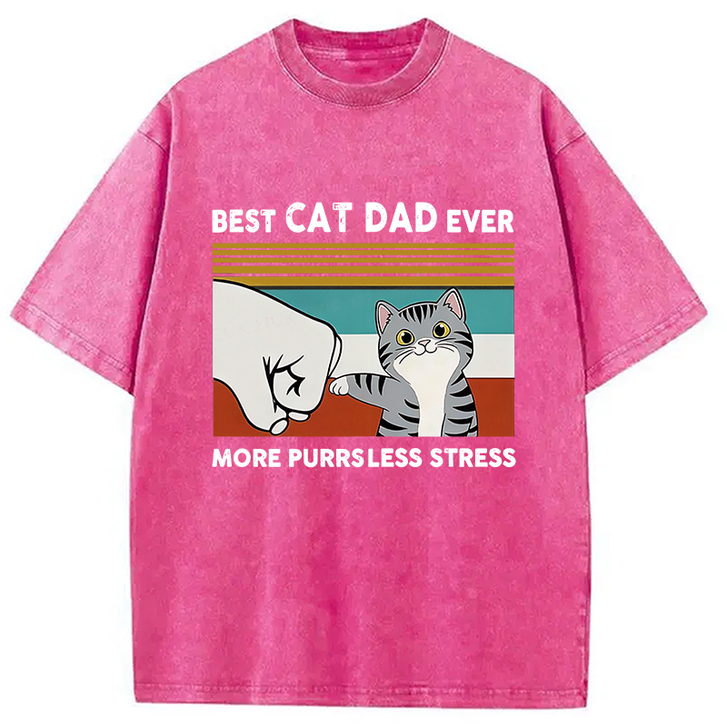 Funny Cat Dad Washed T-Shirt