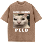Consider Your Pants Peed Meme Washed T-Shirt