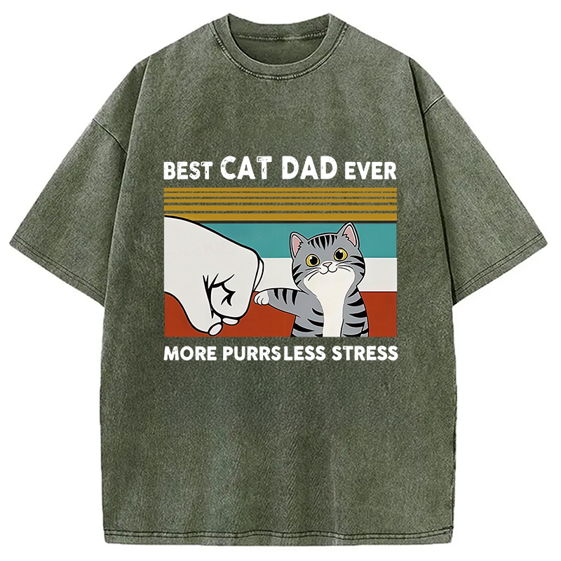 Funny Cat Dad Washed T-Shirt