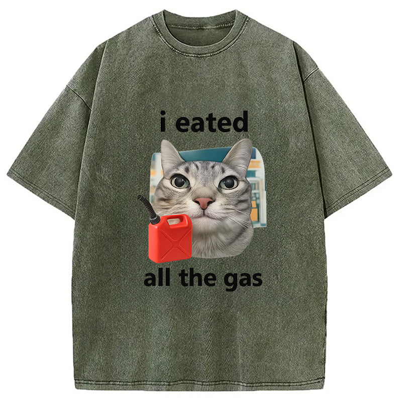 I Eated All The Gas Cat Funny Washed T-Shirt