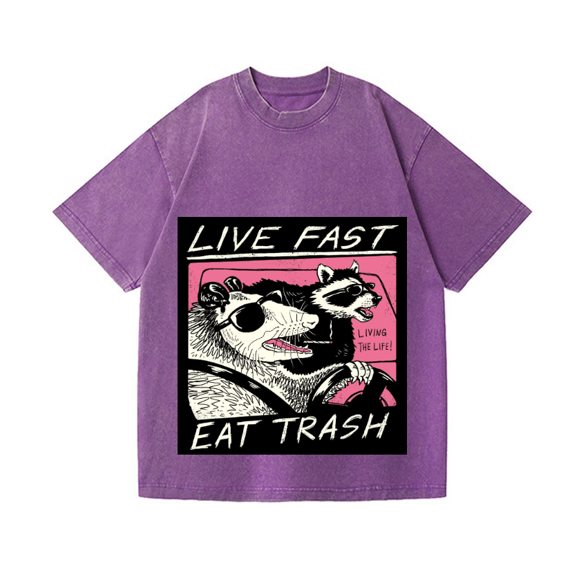 Raccoon Vintage Wash Japanese Design T-Shirt