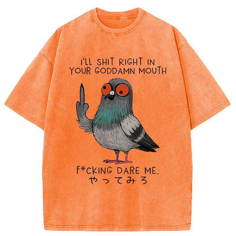 Angry Pigeon Funny Washed T-Shirt