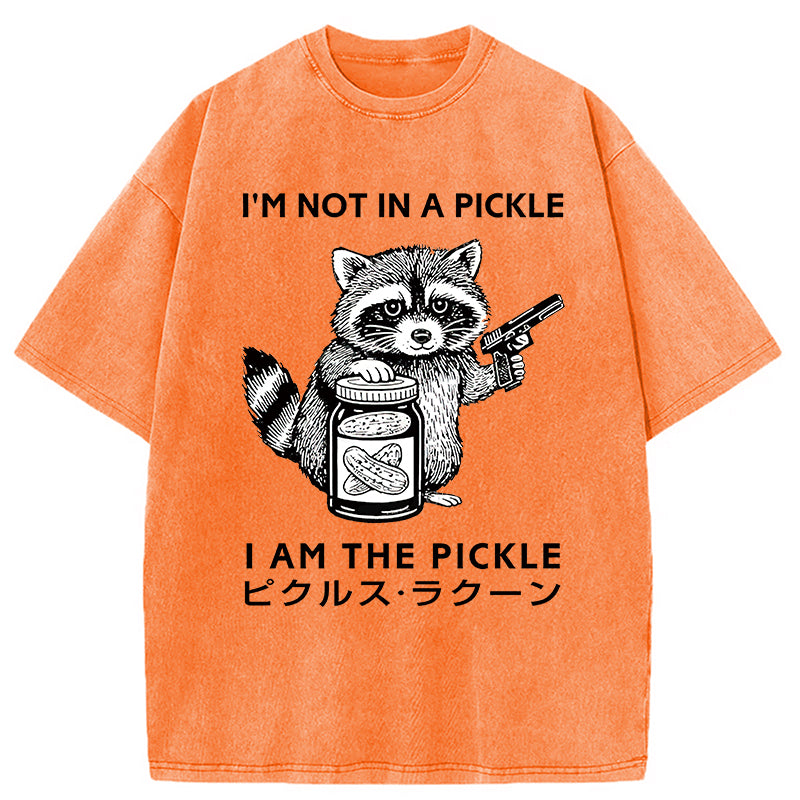 Funny Raccoon Japan Washed T-Shirt