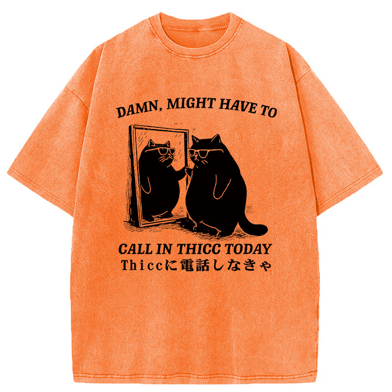 Cat Admiring Himself Washed T-Shirt
