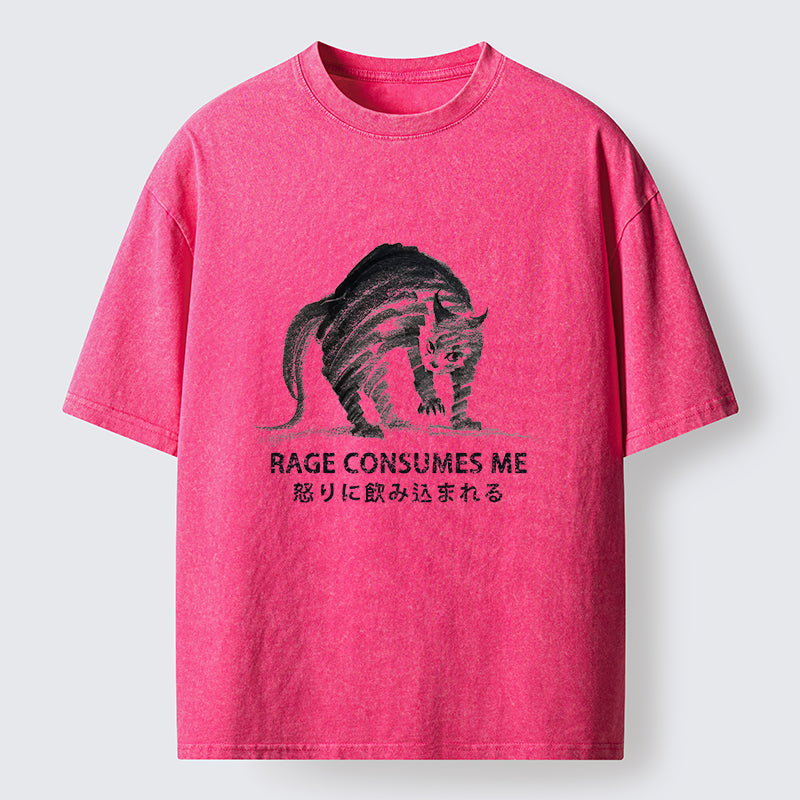 Unisex Rage Consumes Cat Washed T-Shirt