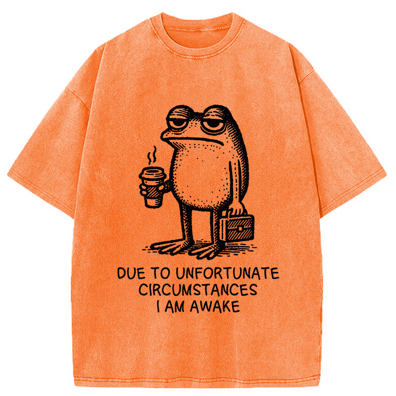 Decadent Frog Washed T-Shirt