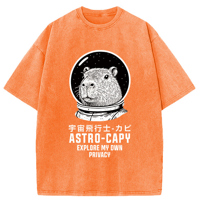 Astronaut Capybara Washed T-Shirt