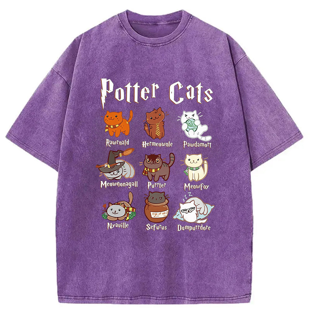 Wizard Cats Washed T-Shirt