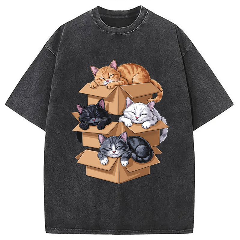 Kawaii Cardboard Cat Washed T-Shirt