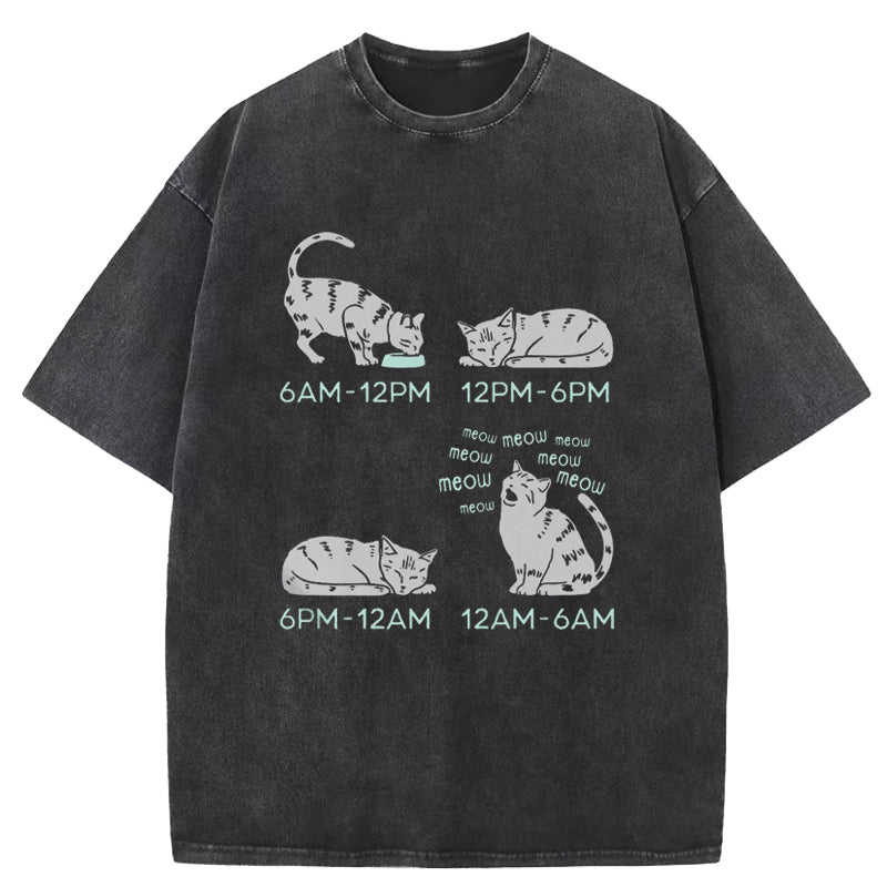 Cat's Schedule Washed T-Shirt