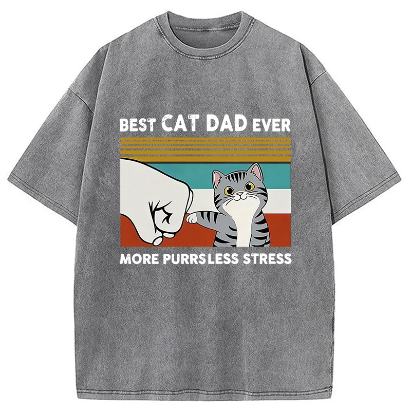 Funny Cat Dad Washed T-Shirt