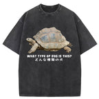 Slow Crawling Dog Washed T-Shirt