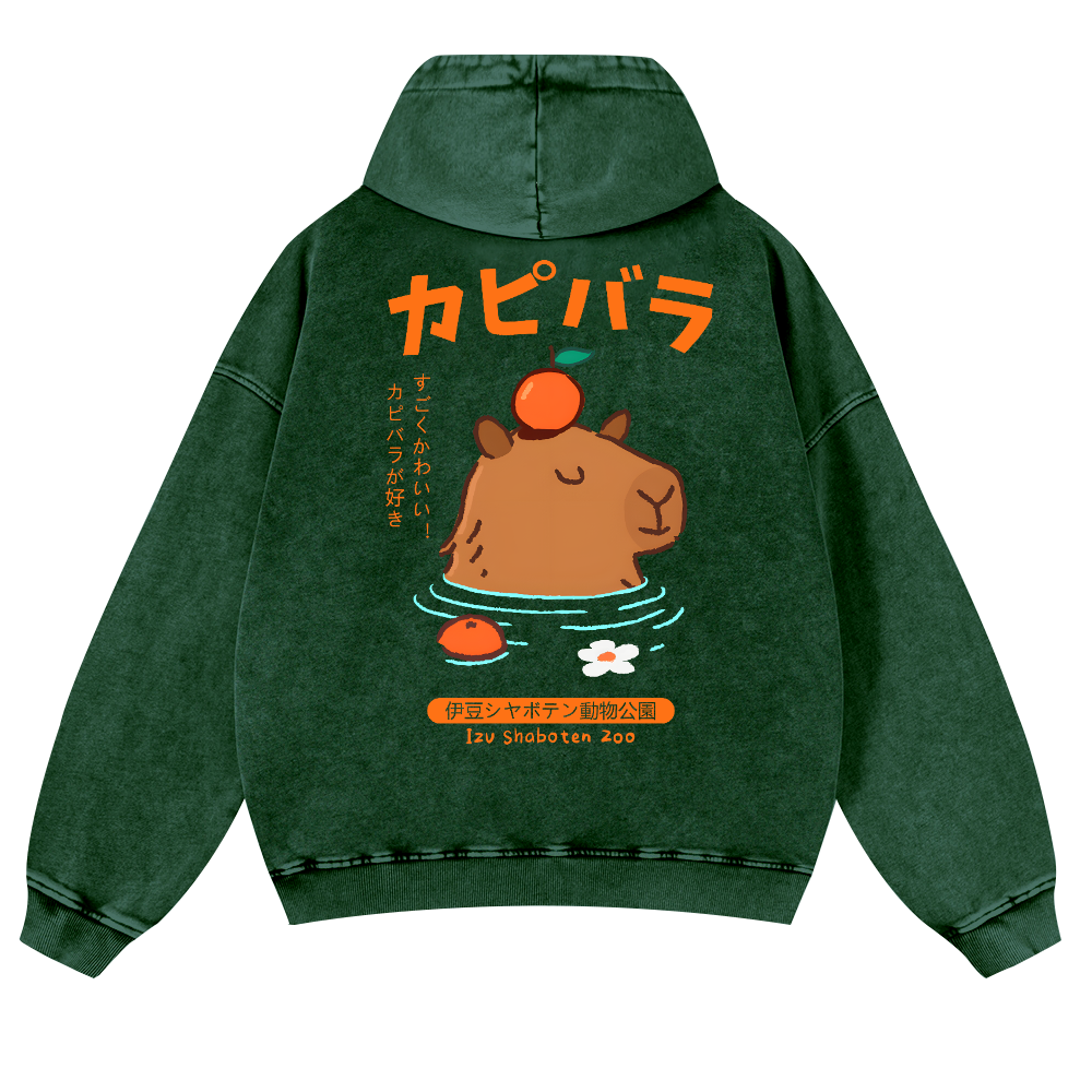 Capybara Vintage Washed Cotton Back Art Hoodie