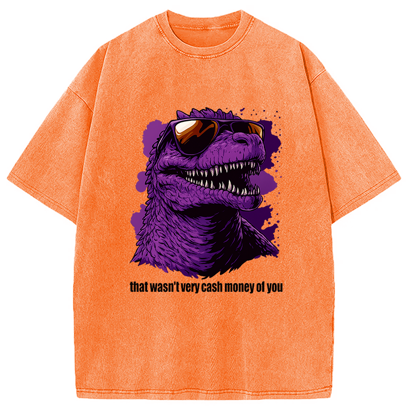 That Wasn't Very Cash Money Of You Washed T-Shirt