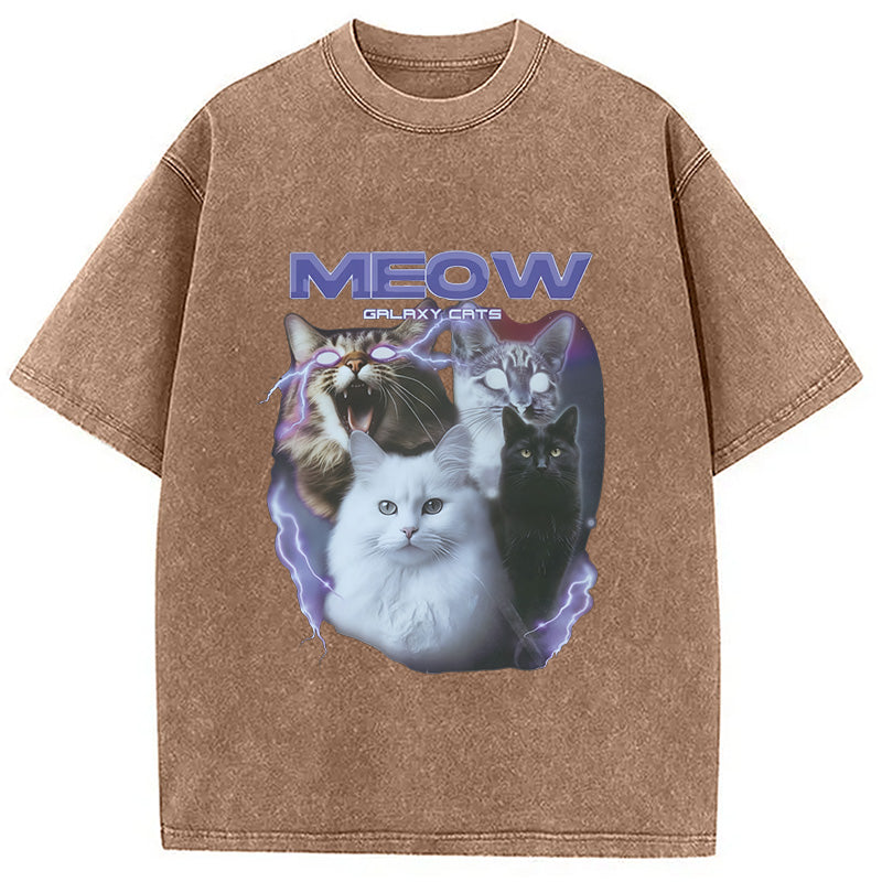 Neow Cat Meme Washed T-Shirt