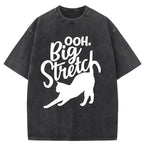 Big Stretch Washed T-Shirt