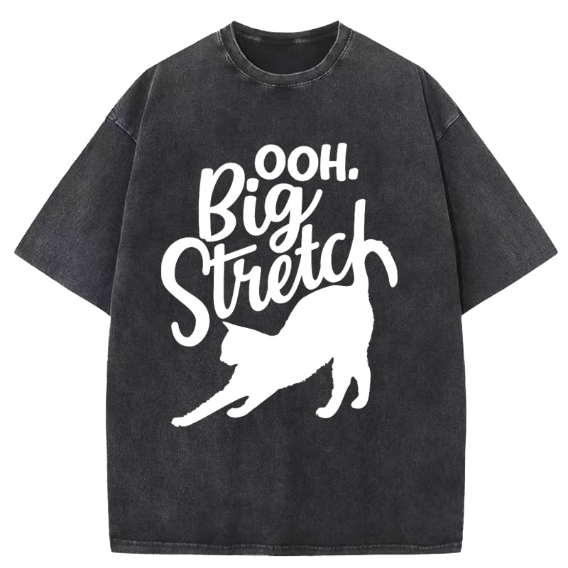 Big Stretch Washed T-Shirt